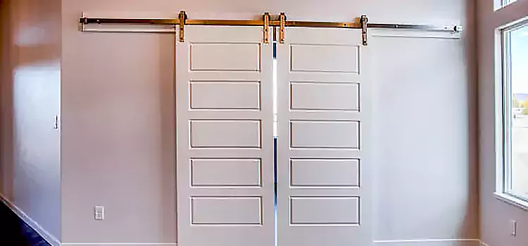 Glass Barn Door with Installation Hardware Kit St. Joseph